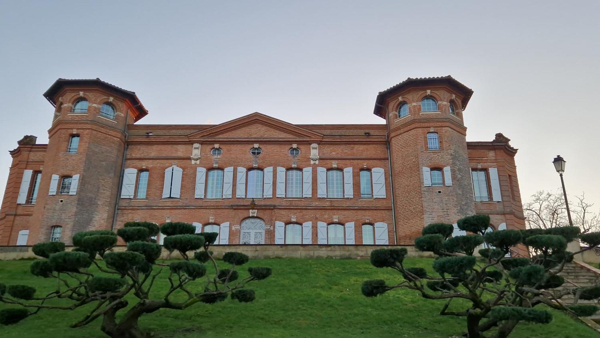 Chateau De Loubejac Montauban Exterior photo